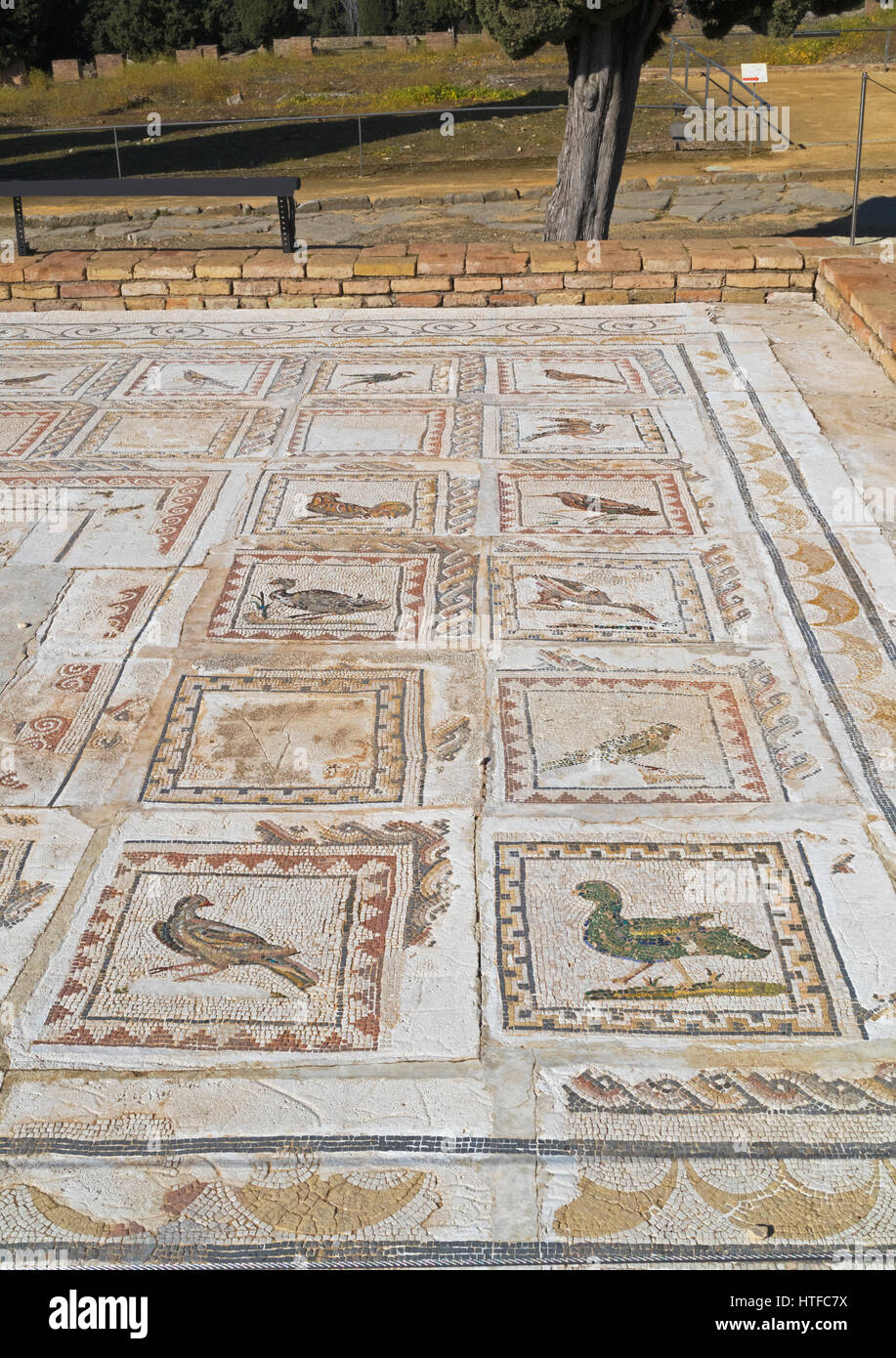 La città romana di Italica, vicino a Santiponce, provincia di Siviglia, in Andalusia Spagna meridionale. Mosaici in Casa de los Pajaros - La casa degli uccelli. Foto Stock