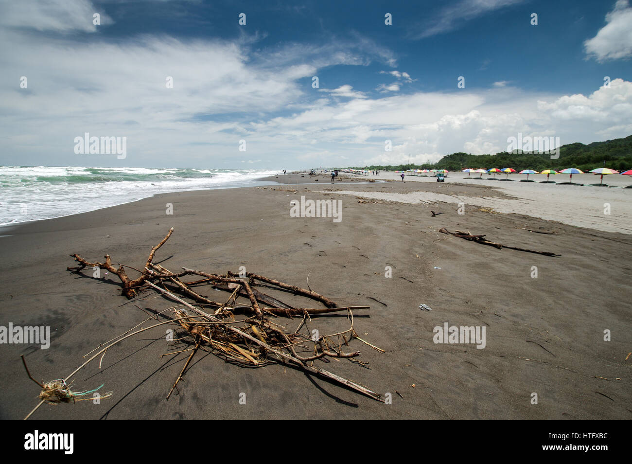 Tangled driftwood Parangtritis sulla spiaggia nel centro di Giava, in Indonesia Foto Stock