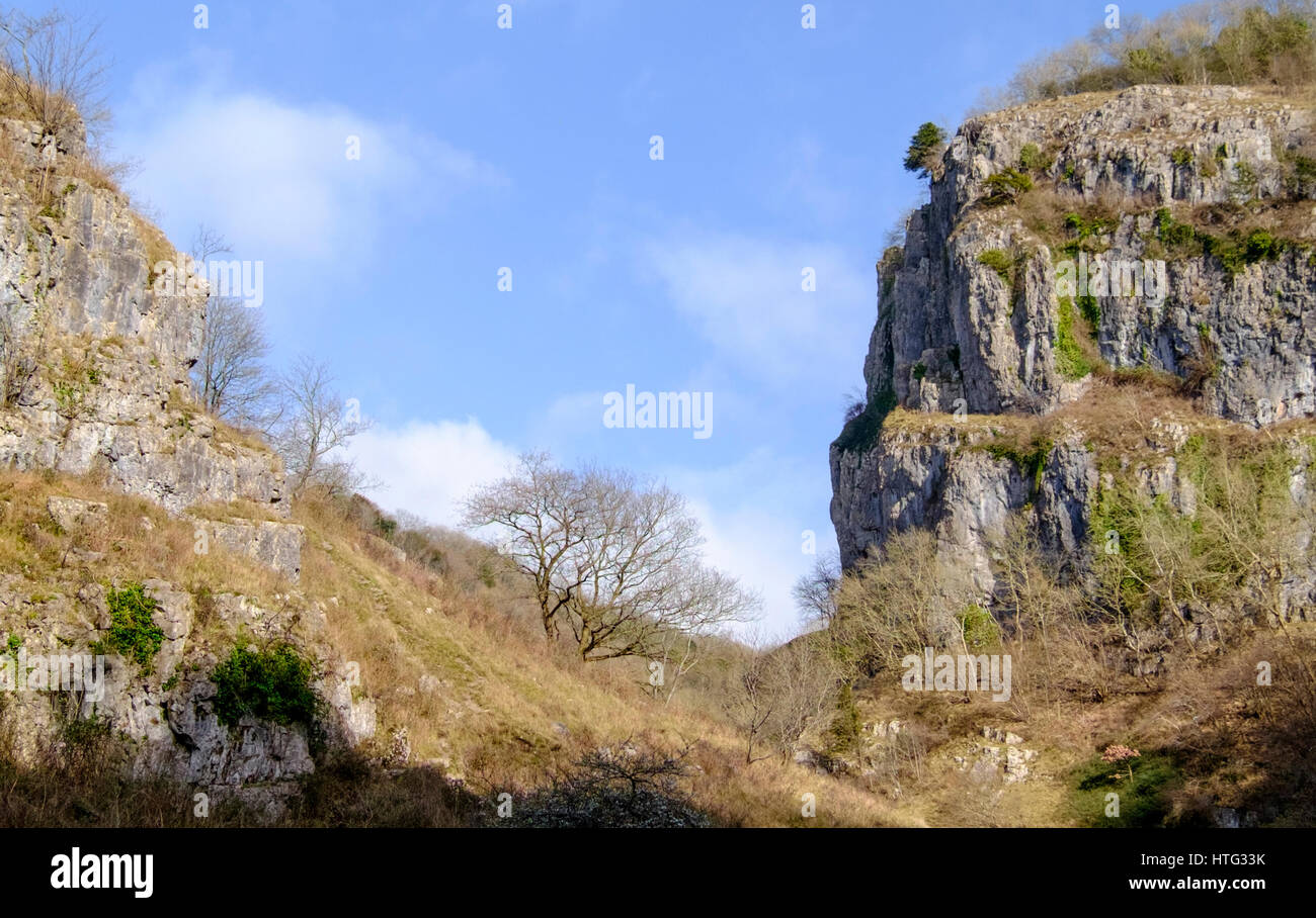 Le scogliere di Cheddar Gorge Somerset England Regno Unito Foto Stock
