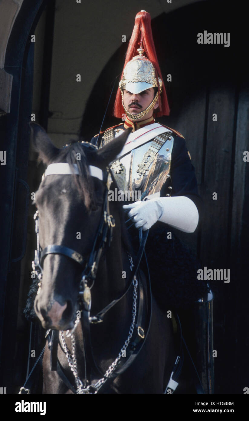 È montato un soldato di cavalleria della famiglia sul dazio a Horse Guard Londra Foto Stock