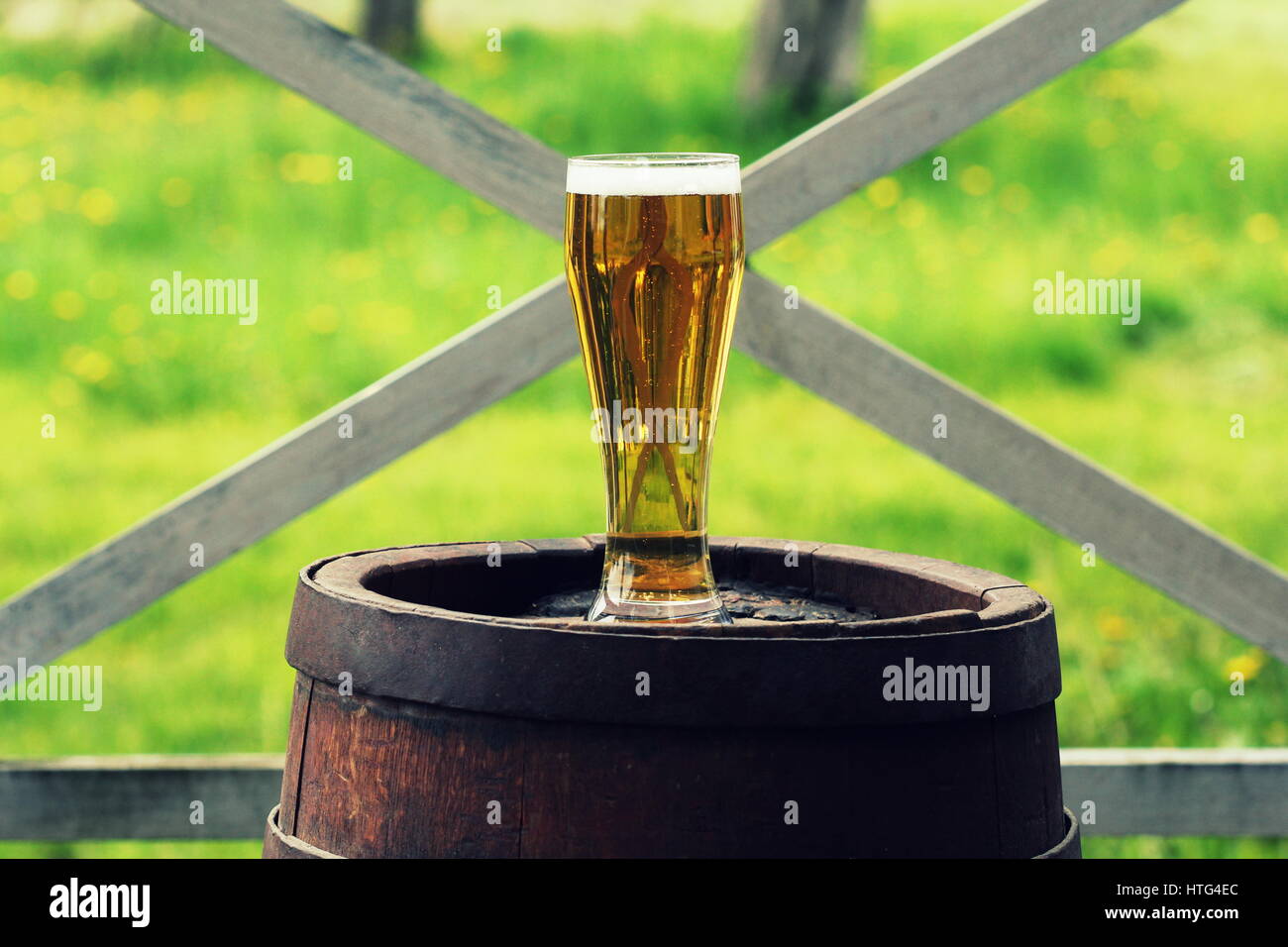 Bicchiere da birra su legno vecchio canna esterna (close up ) Foto Stock