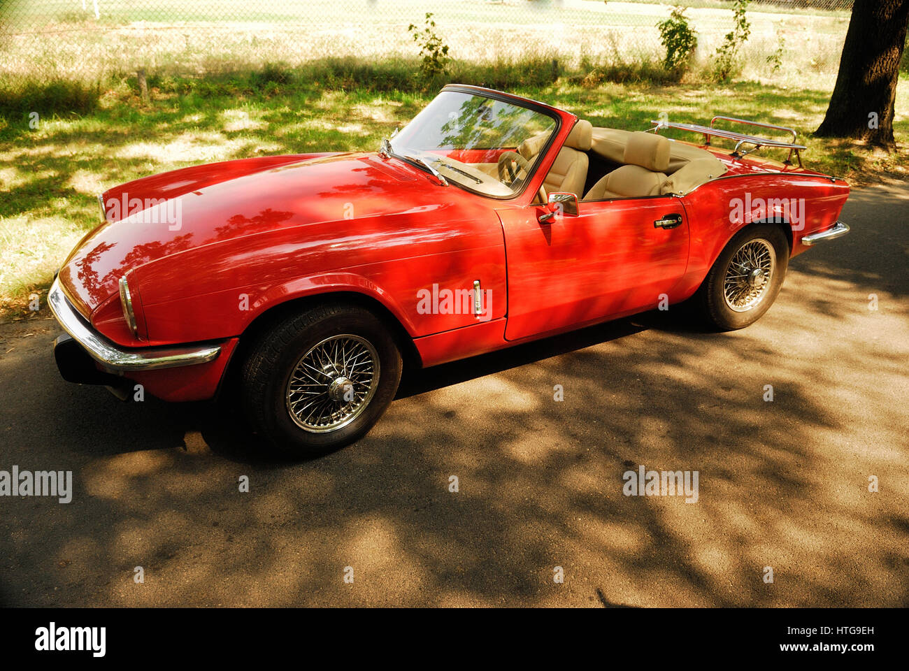 MG auto d'epoca, antica, auto, automobile, cromo, classico, convertibile, design, guida, desiderio, faro, abitacolo, lampada, stile di vita, lusso, Foto Stock