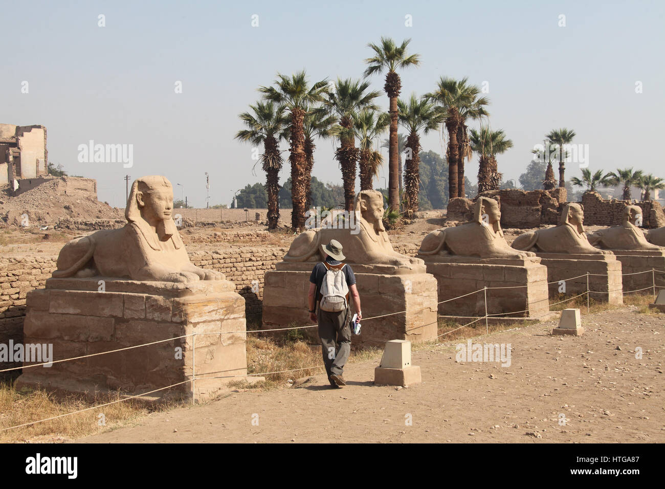 Tourist presso il famoso viale delle Sfingi nel Tempio di Luxor complesso in Egitto Foto Stock