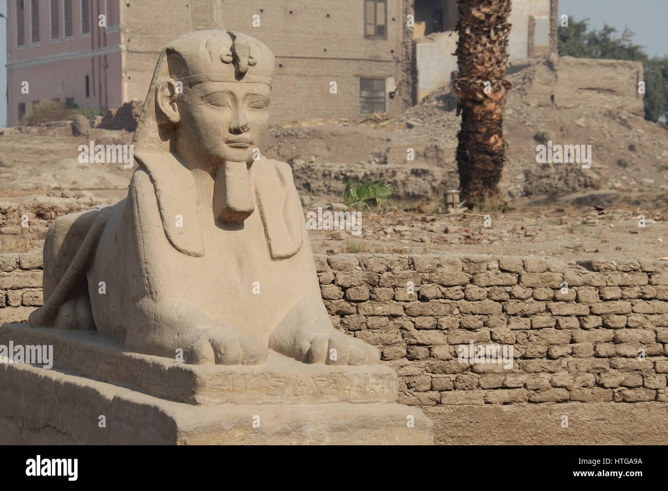 Viale di Sfingi presso il Tempio di Luxor complesso in Egitto Foto Stock