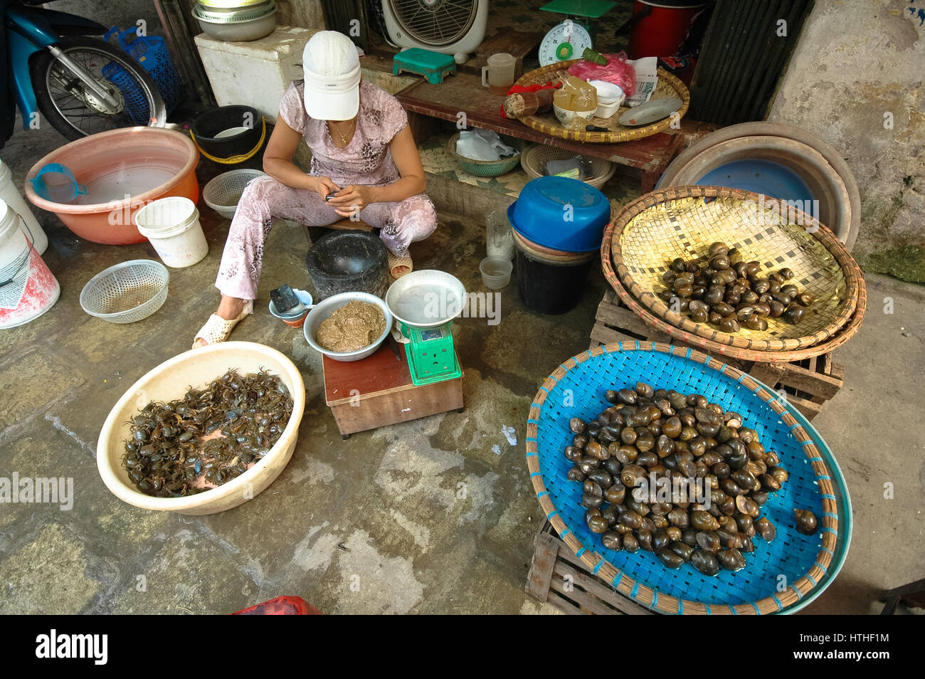 Donna di vendita del pesce e conchiglie al mercato del pesce di Hanoi, Vietnam Foto Stock