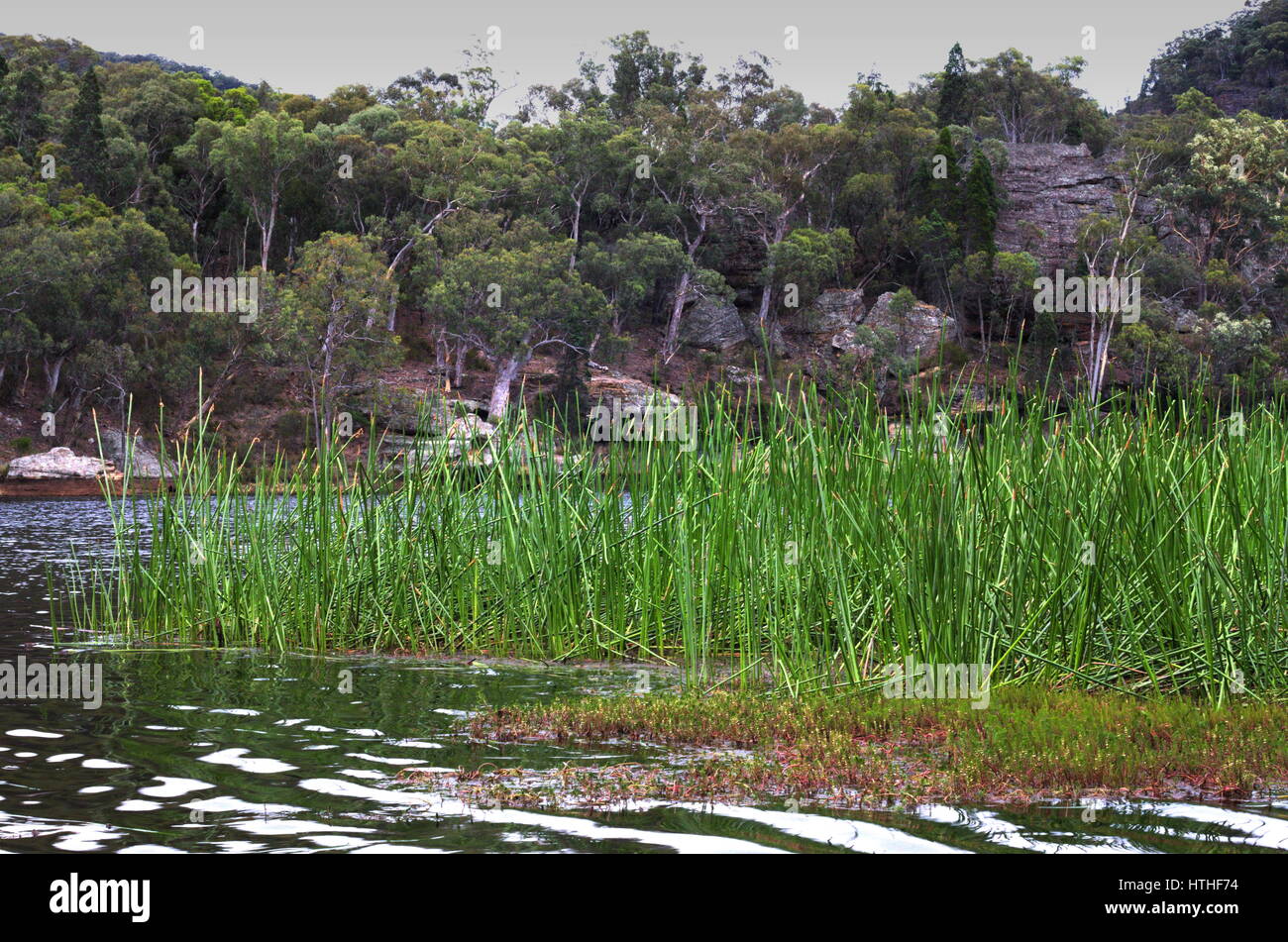 Vista sull'acqua a Dunn's Swamp, Wollemi National Park, Australia. Foto Stock