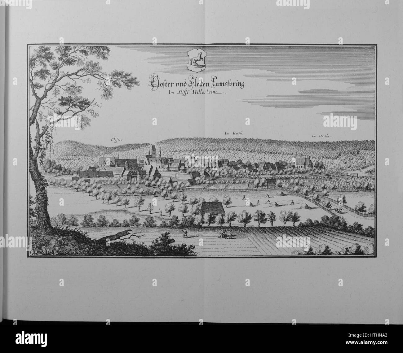 Saxoniae Inferioris (Merian) B 022 Foto Stock