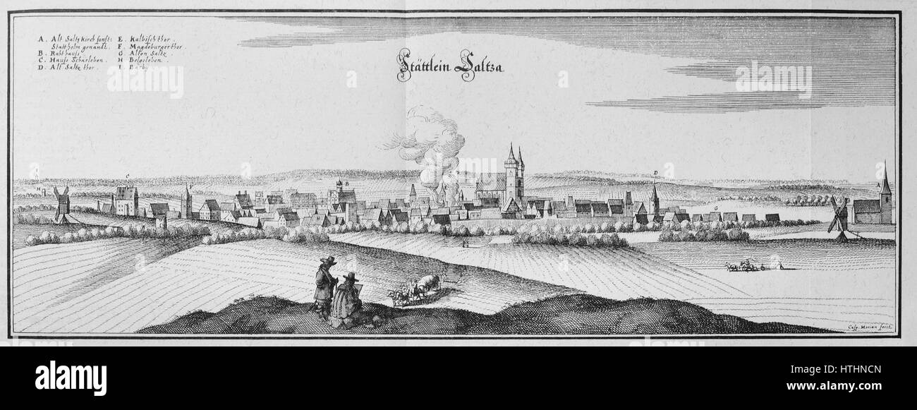 *Saltza* di Merian presenta intricate illustrazioni botaniche caratteristiche dell'illustrazione scientifica del XVII secolo. Il lavoro cattura diverse specie di piante con dettagli raffinati, mostrando l'esperienza di Merian nell'arte di storia naturale. Foto Stock
