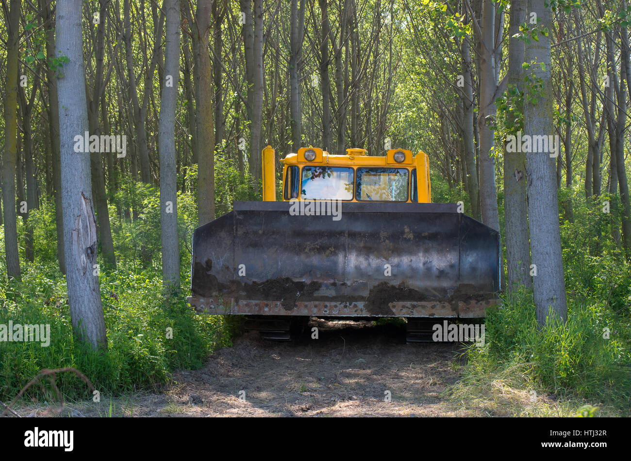 Bulldozer. La preparazione meccanica del sito per la silvicoltura. La piantagione di pioppi. Foto Stock
