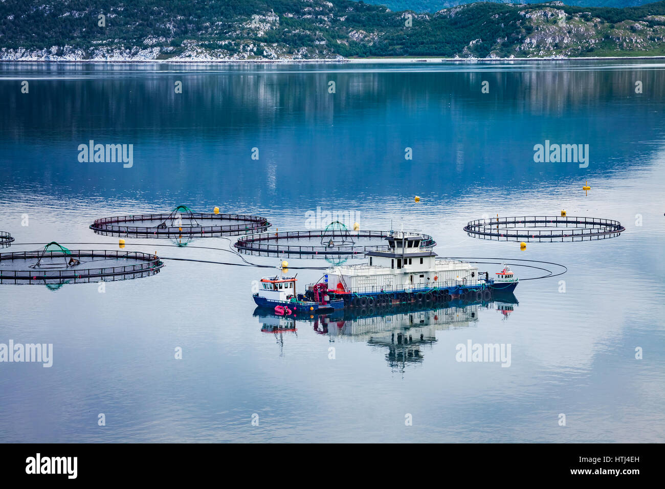 Agriturismo La pesca del salmone in Norvegia Foto Stock