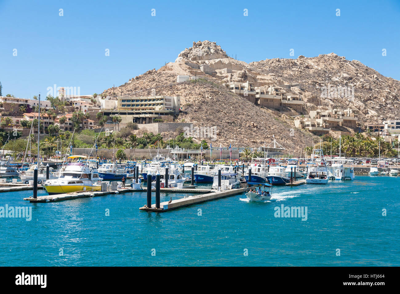 CABO SAN LUCAS, Messico - 20 Marzo 2012 : Vista su Cabo San Lucas marina, popolare destinazione turistica su Baja California, Messico. I viaggi di vacanza porto Foto Stock