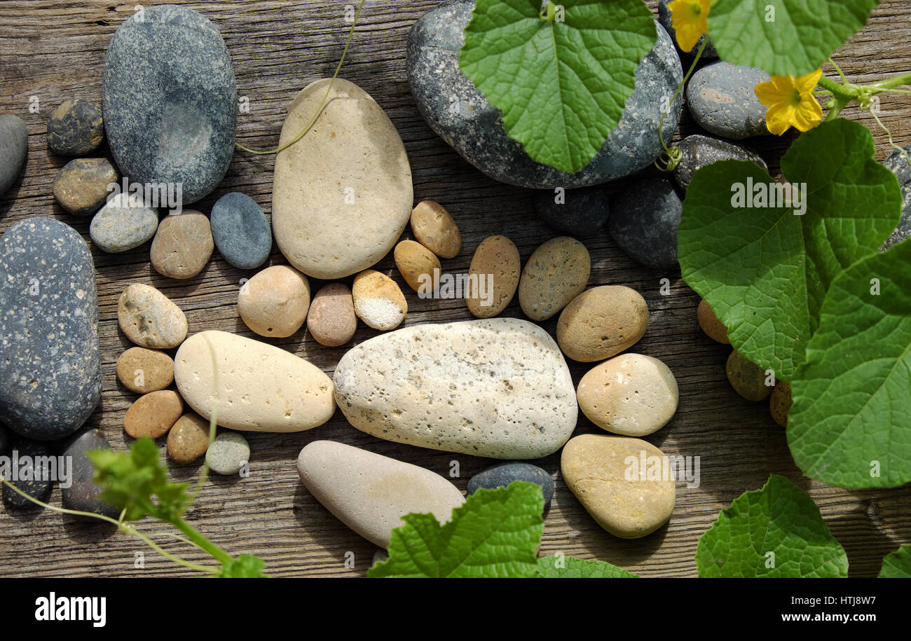 Abstract carino concetto su uno sfondo di legno da ciottoli, incredibile disposti boulder alla famiglia di footprint, impressionante forma da pebblestone Foto Stock