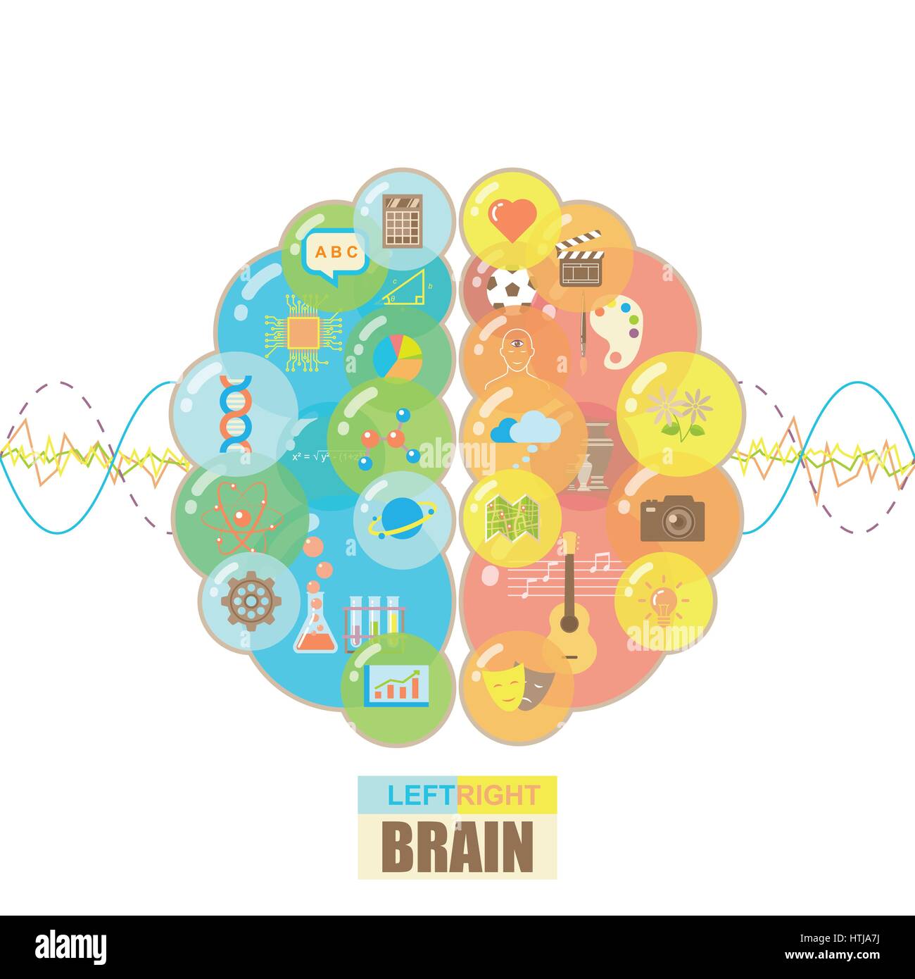 Le funzioni di sinistra e di destra emisferi cerebrali in gruppi di bolle colorate con le onde cerebrali concetto su sfondo bianco Illustrazione Vettoriale