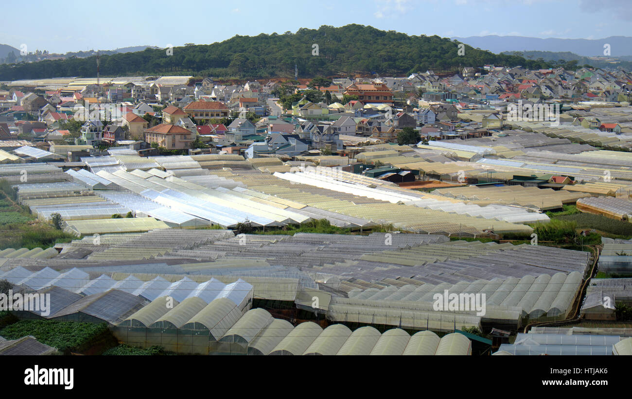 Dalat flower village, una grande area per i fiori in Vietnam, gruppo di green house con high tech agricoltura, da Lat è grande fiore granaio per paese per Foto Stock