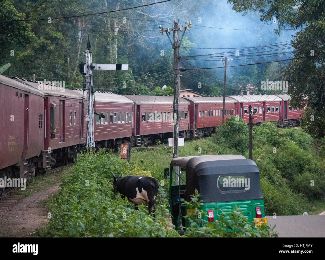 A tre ruote di tuk tuk e una mucca di attendere per il passaggio di un treno a Badulla sul Southern Highlands linea, Sri Lanka Foto Stock