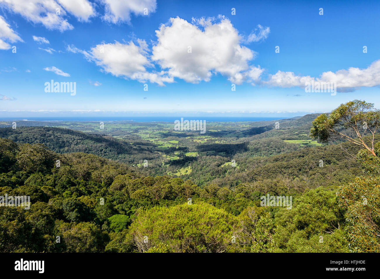 Vista da Jamberoo belvedere sopra il Illawarra costa, vicino Kiama, Budderoo National Park, South Coast, Nuovo Galles del Sud, NSW, Australia Foto Stock