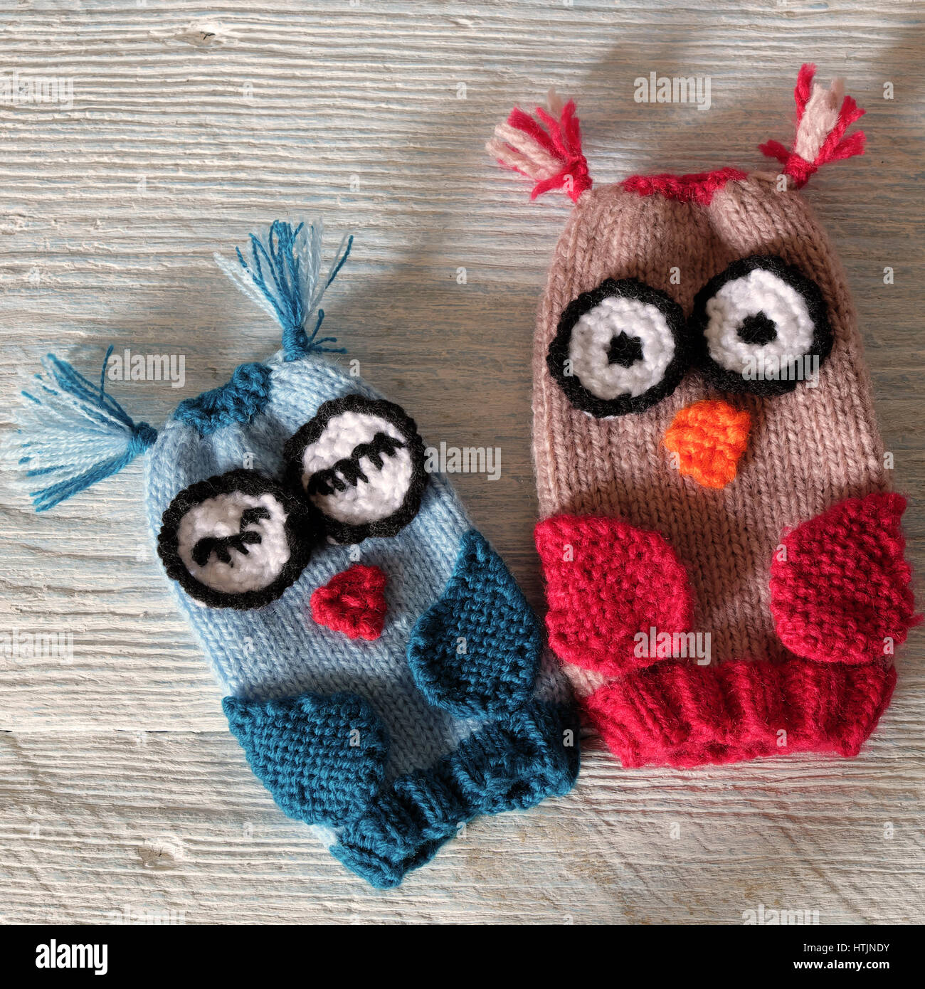 Mano marionette per bambini giorno e colorati di gufo puppet lavorato a maglia di filati, divertente regalo fatti a mano per la Giornata del bambino bianco su sfondo di legno Foto Stock