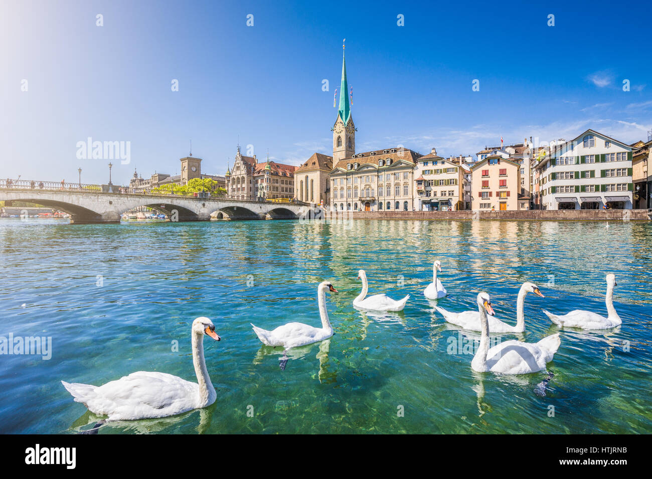 Bellissima vista del centro storico della città di Zurigo con la famosa Chiesa di Fraumuenster e cigni sul fiume Limmat in una giornata di sole con cielo blu in estate Foto Stock