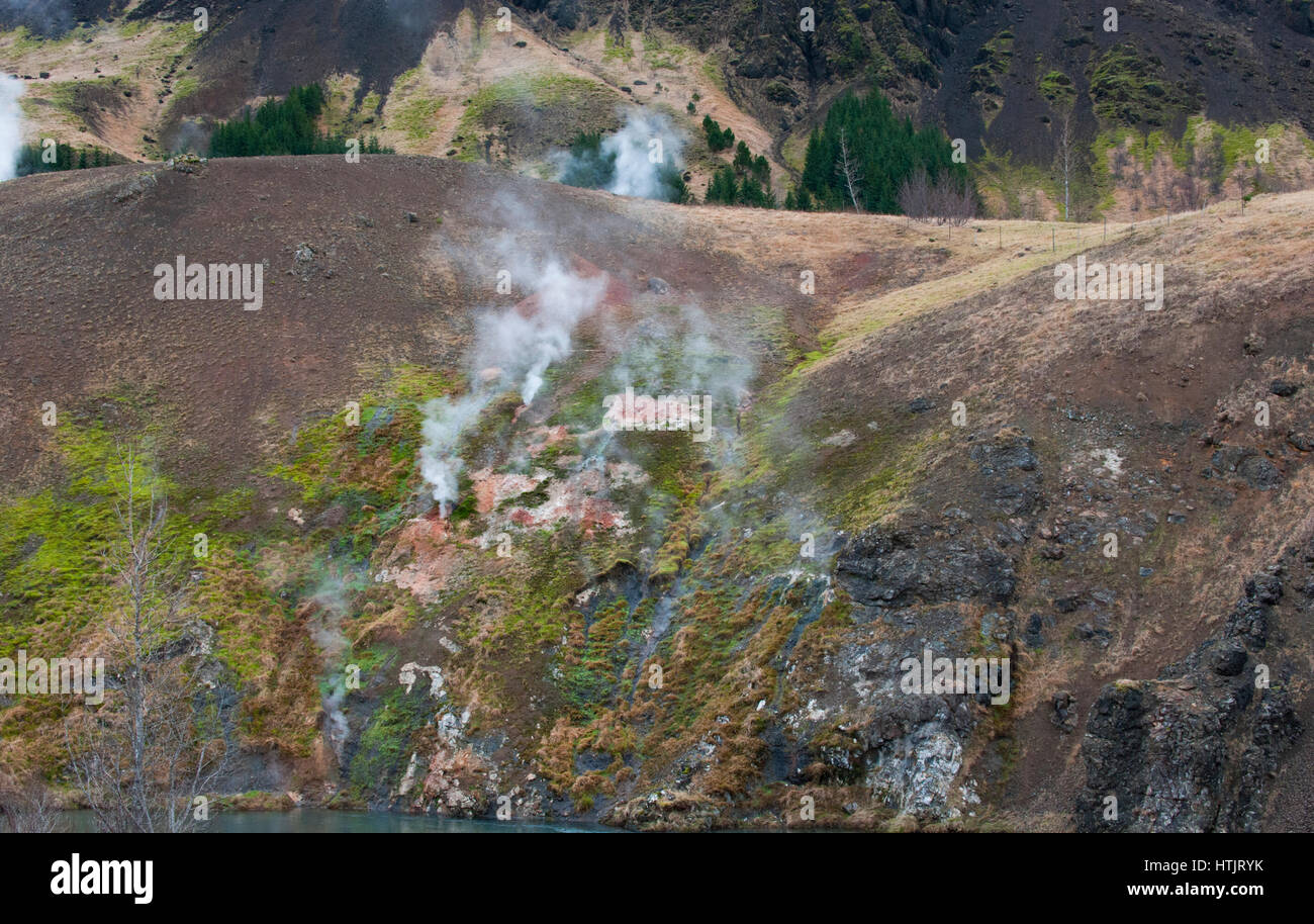 Sorgenti calde geotermali o fumarole,Hveragerdi, Islanda Foto Stock