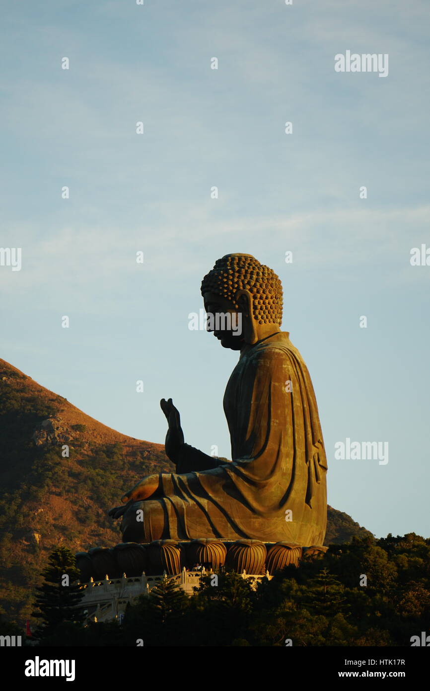 saggezza buddha Foto Stock