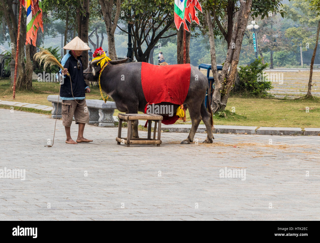 Hoa Lu antica capitale del Vietnam Foto Stock