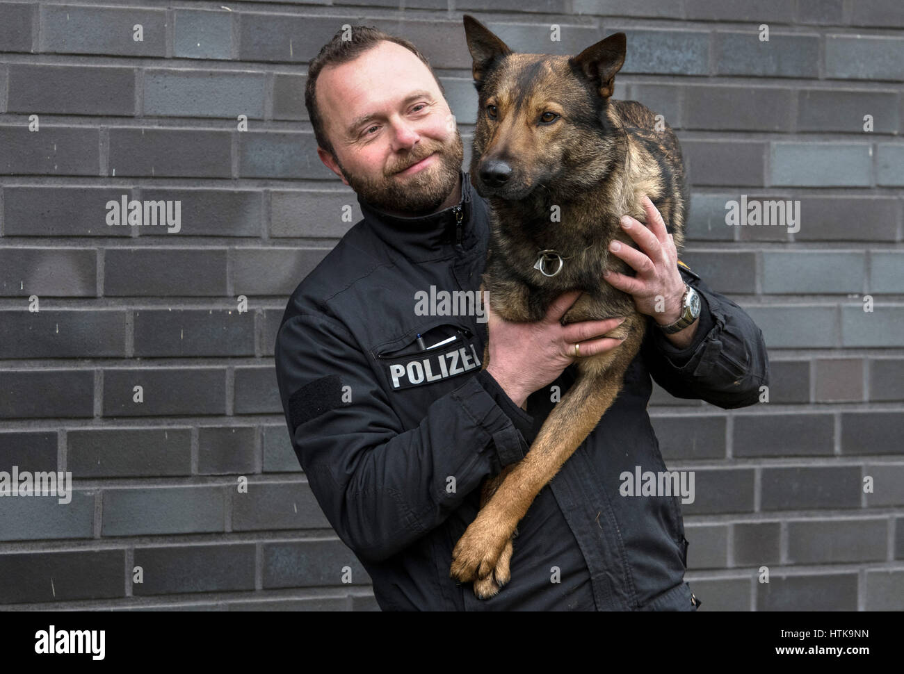 Cane di polizia trainer Tobias T. con un due-anno-vecchio chiamato alsaziano Nanuk di Brema, Germania, 02 marzo 2017. Foto: Ingo Wagner/dpa Foto Stock