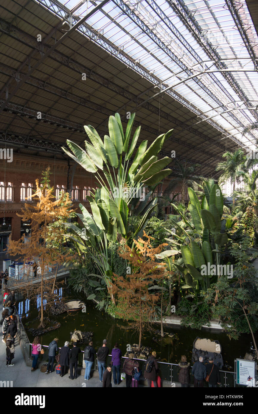 Botanic, giardino tropicale all'interno di Madrid alla stazione ferroviaria di Atocha, Madrid, Spagna Foto Stock