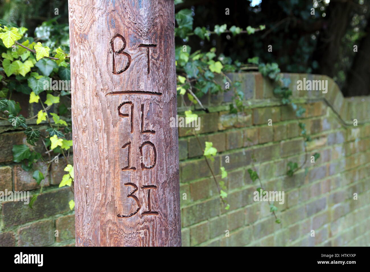 Alresford, Regno Unito - 28 GEN 2017: British Telecom con il numero di riferimento intagliato in legno tradizionale palo del telegrafo, mostrando l'orizzontale 'Doby" mark Foto Stock