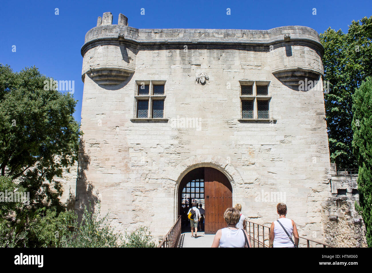 Il Pont Saint-Benezet, noto anche come il Pont d'Avignon, un famoso ponte medievale della città di Avignone, nel sud della Francia. Foto Stock
