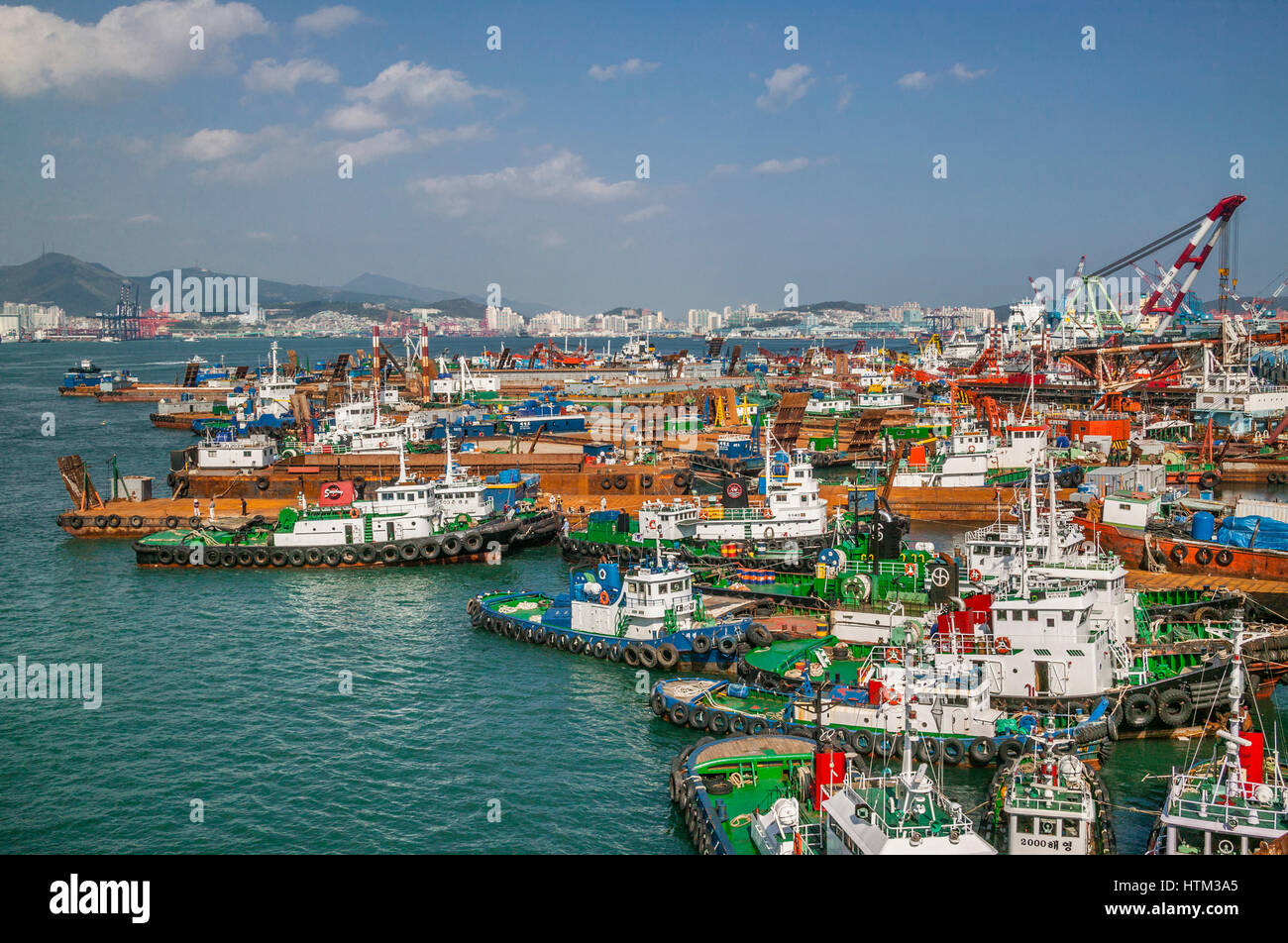 Corea del Sud, regione Yeongnam, Busan, porto di Busan con vista del rimorchiatore posti barca presso Yeongdo Isola Foto Stock