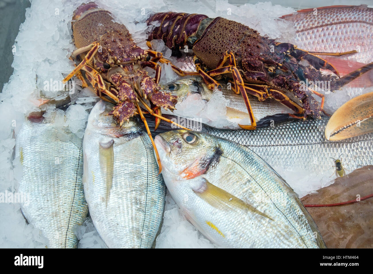 Visualizzazione di pesce fresco e aragosta su ghiaccio al di fuori di un ristorante in Platamonas. Pieria, Grecia Foto Stock