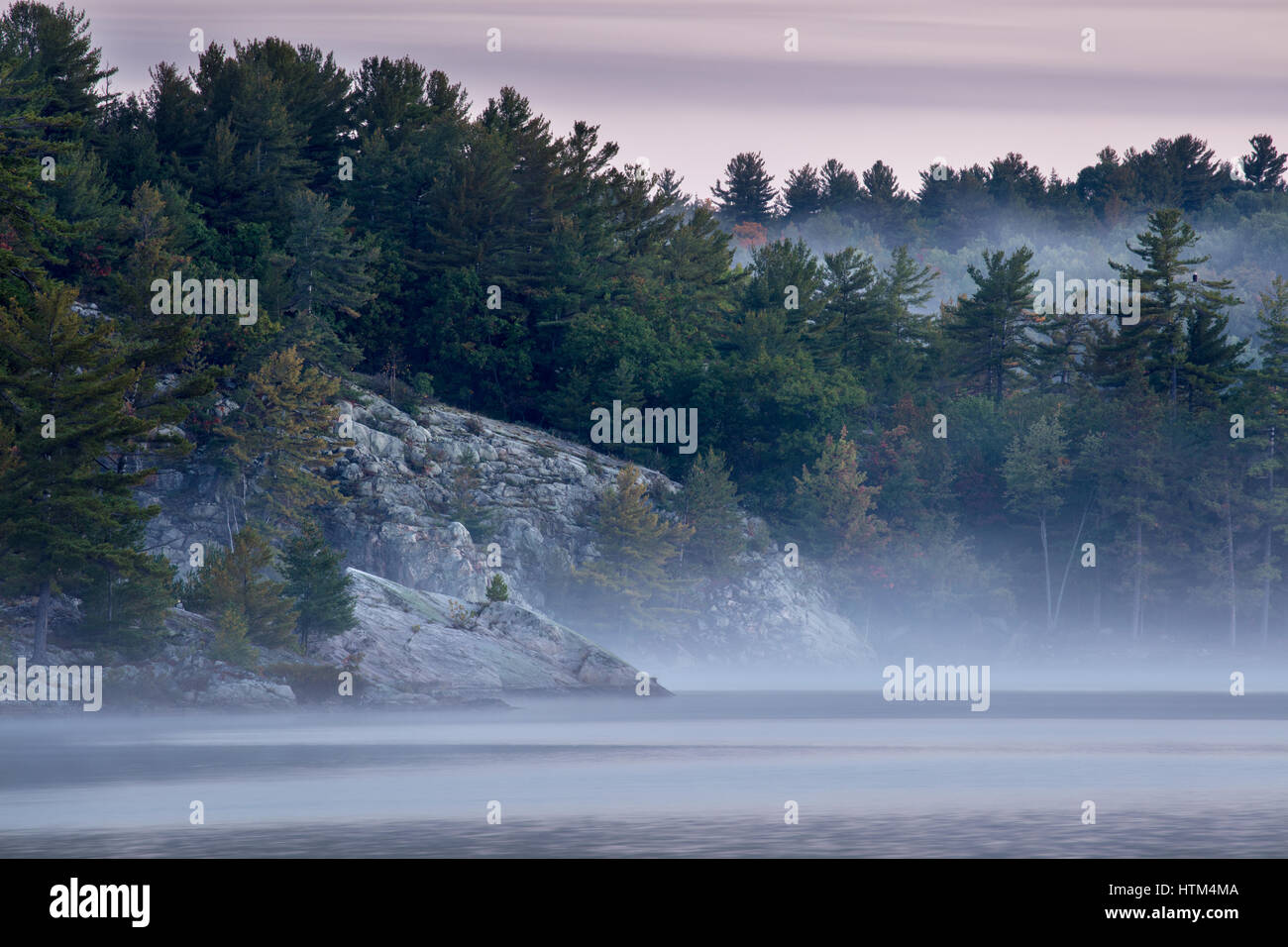 Charlton Lago all'alba, coregoni cade, Ontario, Canada Foto Stock