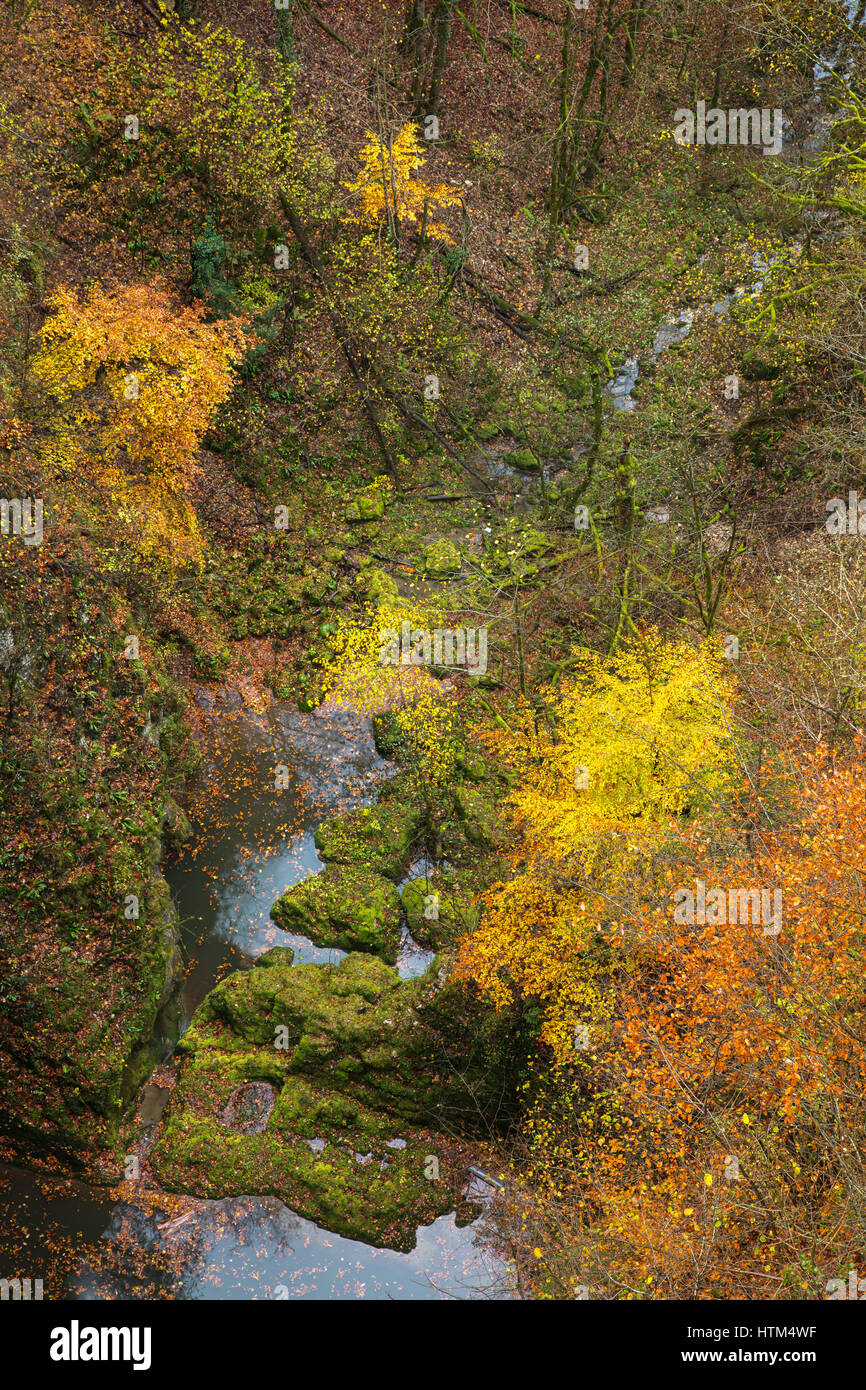 I colori autunnali sotto il Pont du Diable, Canyon du Petit Lison, Franche-Comté, Francia Foto Stock
