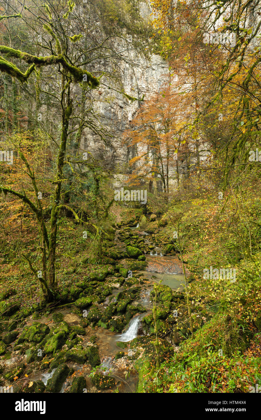 I colori autunnali, Bief du Sarrazin, Gorge du Lison, Nans-Sous-Sainte-Anne, Franche-Comté, Francia Foto Stock