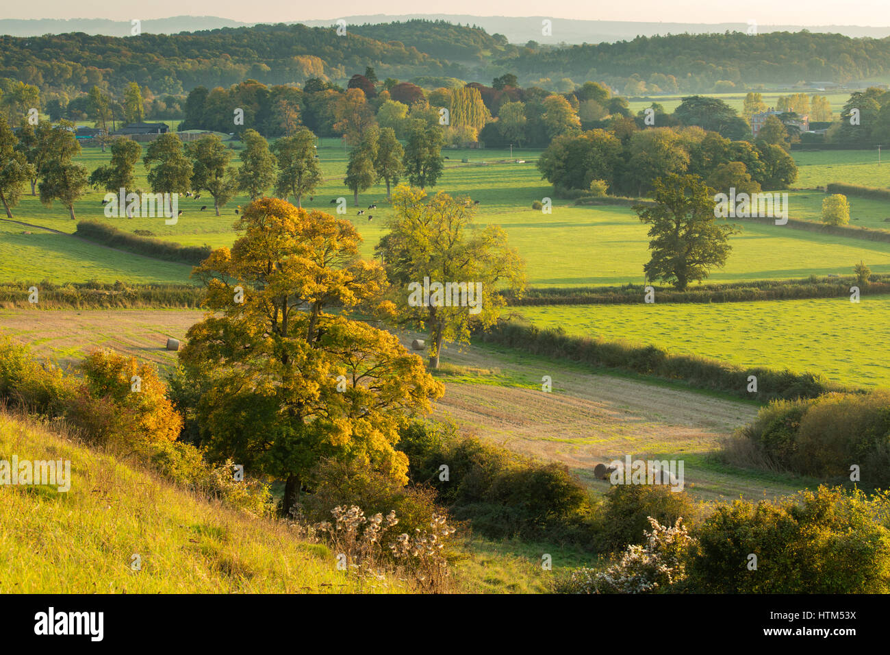 I colori autunnali nella valle intorno Milborne stoppino, Somerset Foto Stock