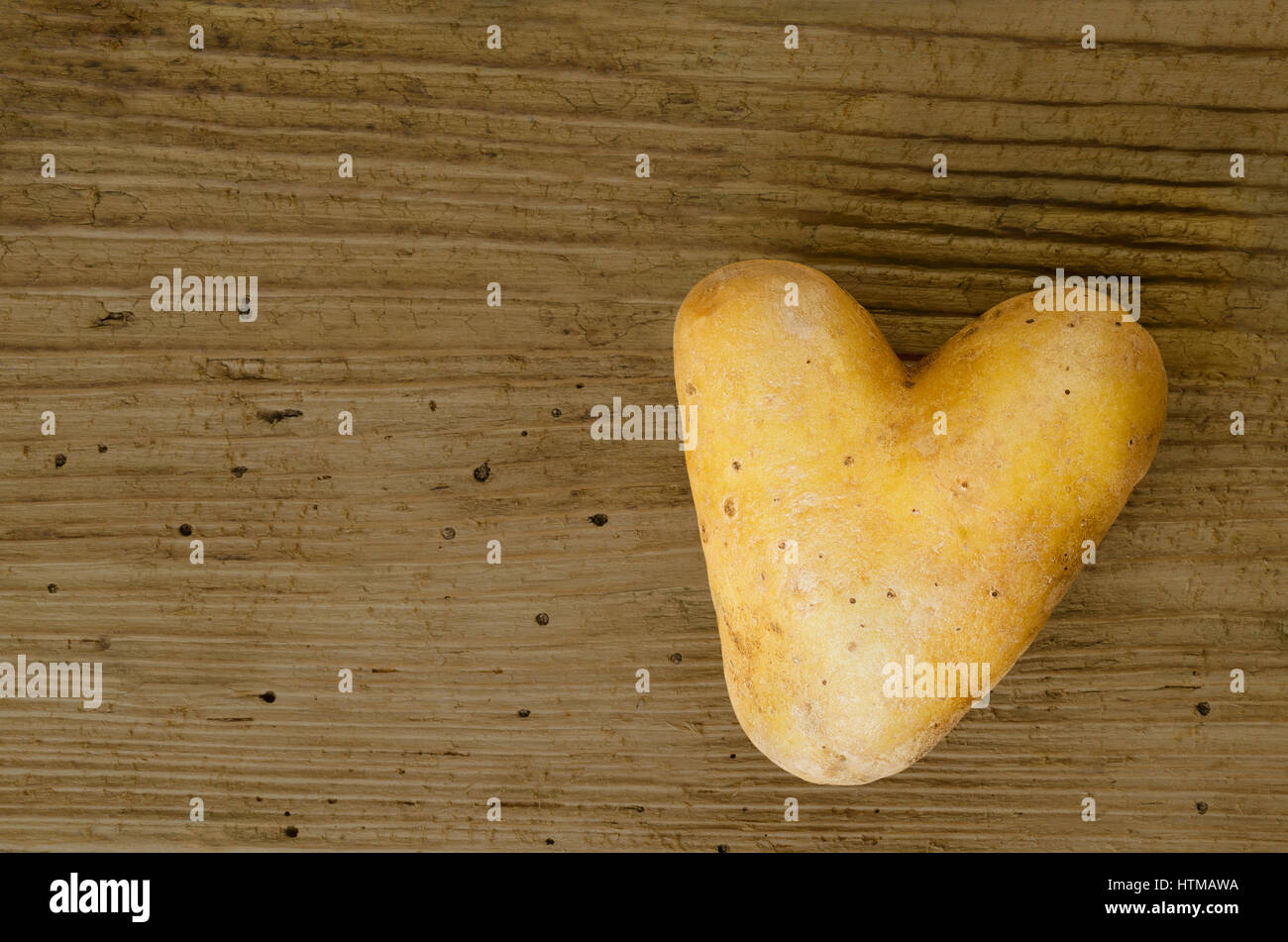 A forma di cuore sulla patata un vecchio in legno di abete rosso scheda dal sedicesimo secolo con molti wormholes. Tuberi commestibili di nightshade Solanum tuberosum. Foto Stock