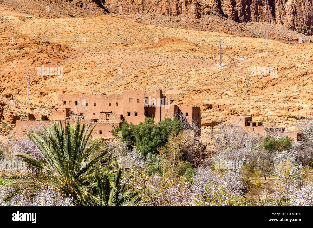 Oasi del Todra River a Tinghir, Marocco Foto Stock