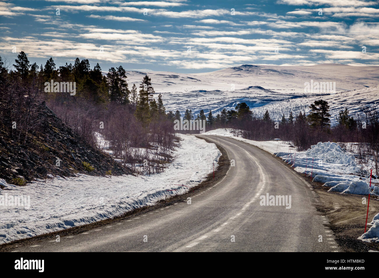 Strada vuota, foresta in Laponia Area, Stora Sjofallet National Park, Lapponia, Svezia. Area del Patrimonio mondiale. Foto Stock