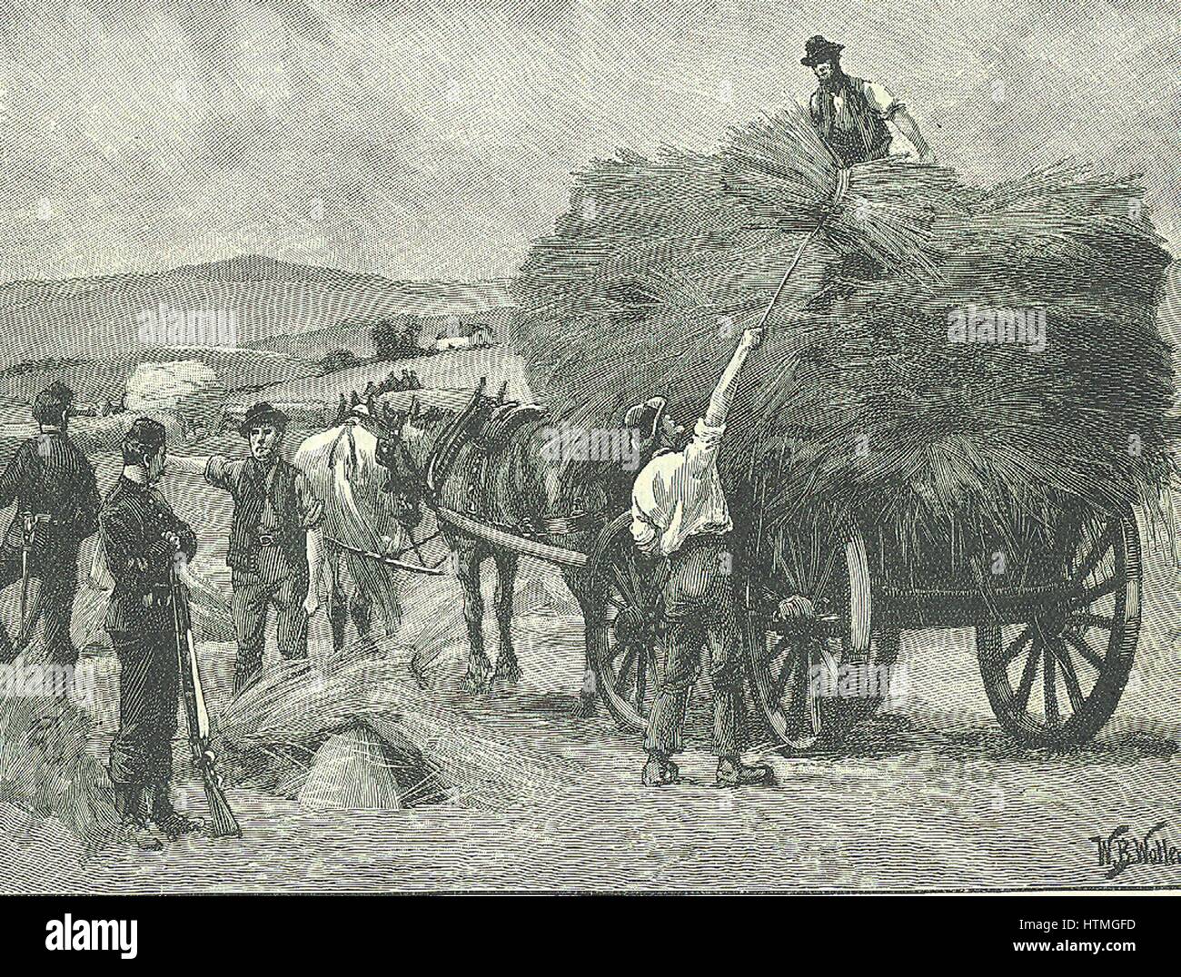 Irish Land League: nel 1880 Parnell ha iniziato la campagna di ostracismo sociale. Capitano boicottaggio, agente per signore Erne di Mayo estates, è stata una delle prime vittime. Il boicottaggio delle colture siano raccolti da volontari Orangemen protetti dalle truppe, 1880. Foto Stock