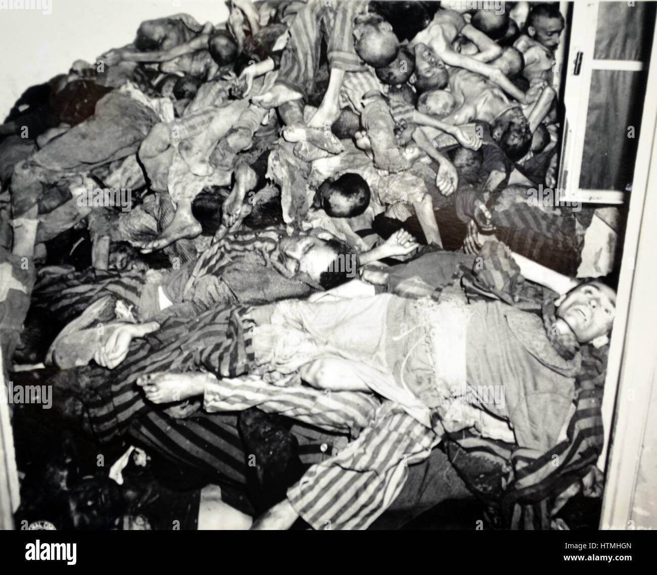 Corpi di ebrei uccisi al campo di concentramento di Dachau, il primo campo di concentramento nazista aperto in Germania, destinato a tenere prigionieri politici. Esso si trova sul terreno di un abbandonata fabbrica di munizioni vicino alla città medievale di Dachau, circa 1 Foto Stock