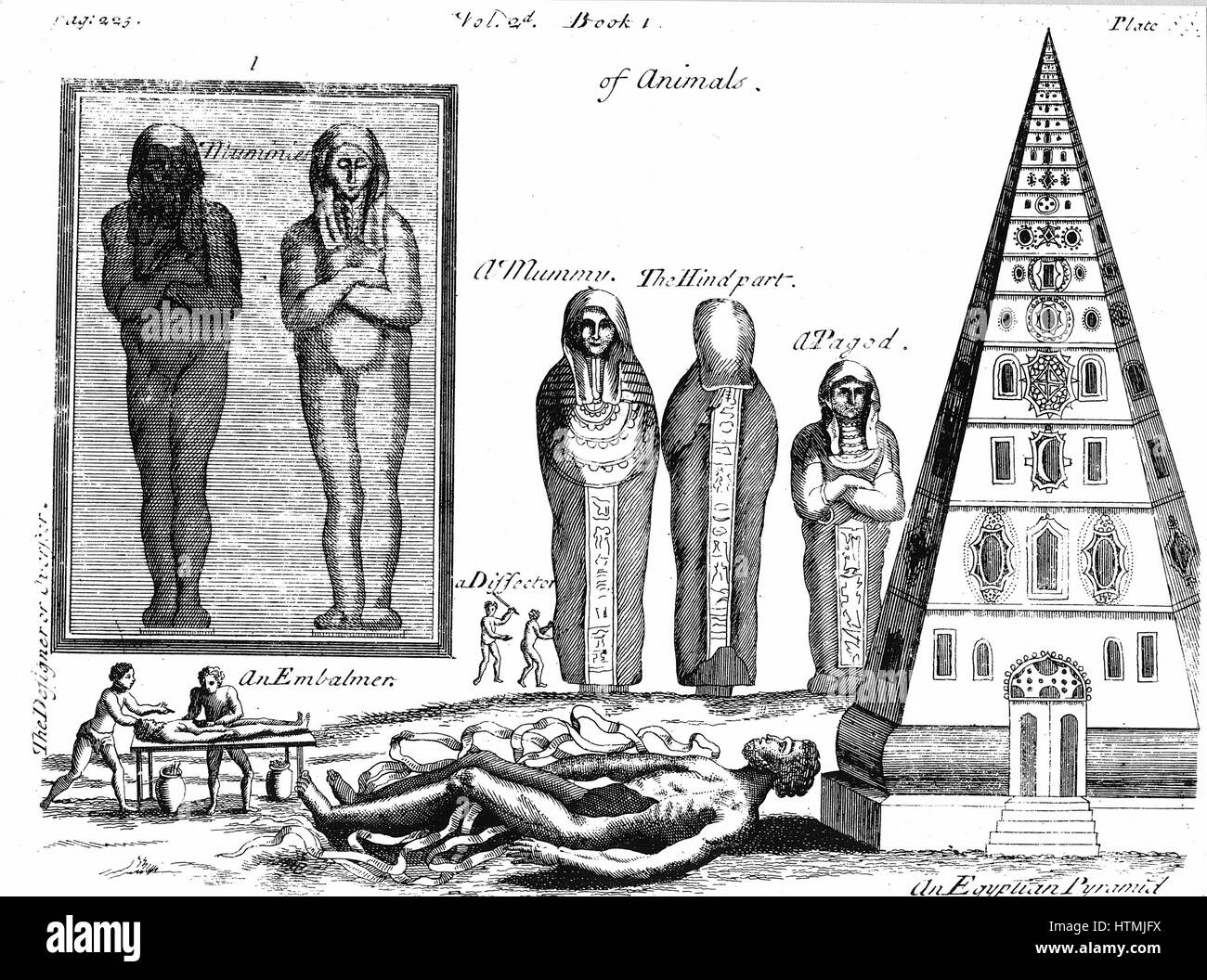 Le mummie e imbalsamazione. Da P Pomet 'A Compleat storia di droga" Londra 1725. Traduzione dal francese dal medico di Luigi XIV. Incisione su rame Foto Stock