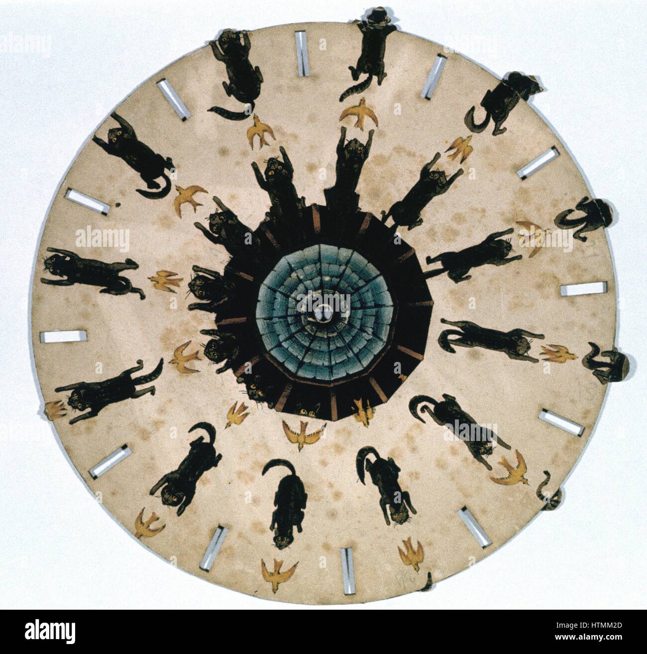 Fantascope: gioco ottico a seconda della persistenza della visione per il suo effetto. Disco con immagini multiple di cat a caccia di un uccello. Foto filate sul mandrino e la sua riflessione visto in Looking Glass (mirror), dando l'impressione del gatto saltando il muro. Foto Stock