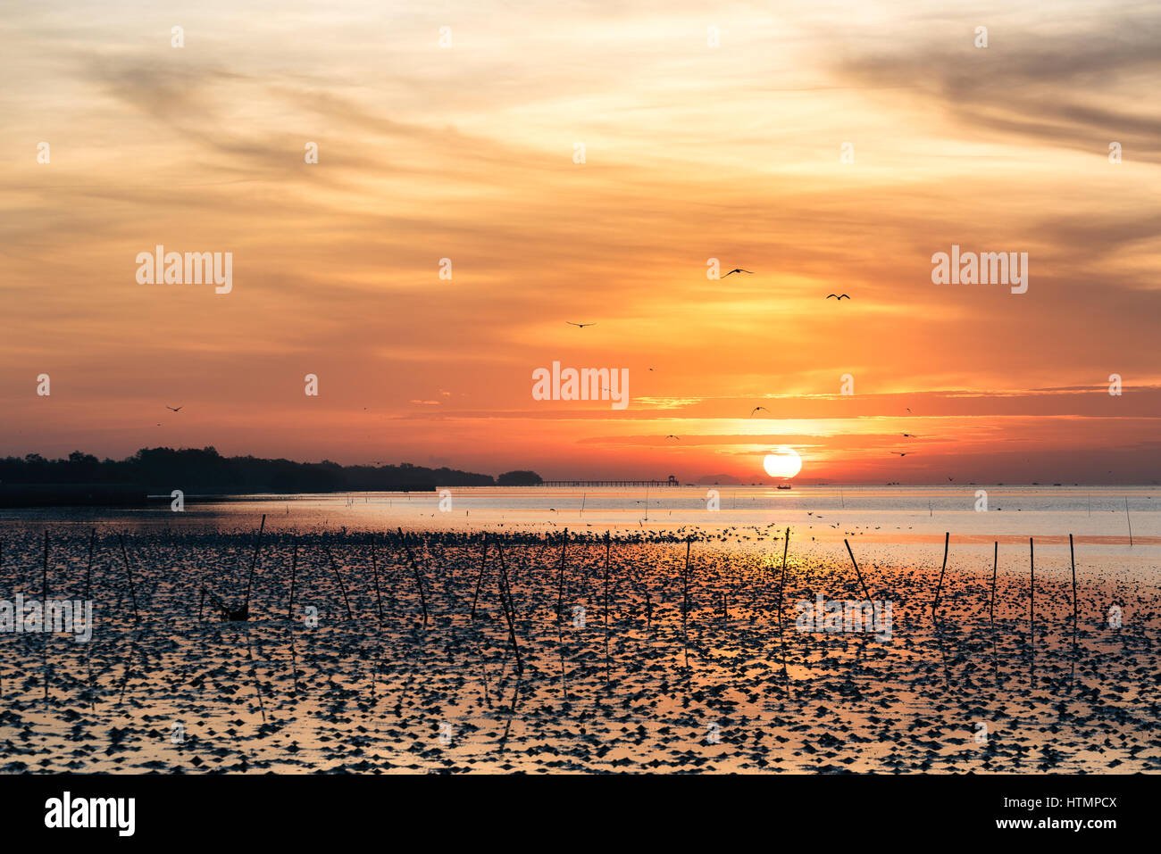 Hot sky con red nuvola al tramonto sul mare vicino alla costa in Thailandia. Foto Stock