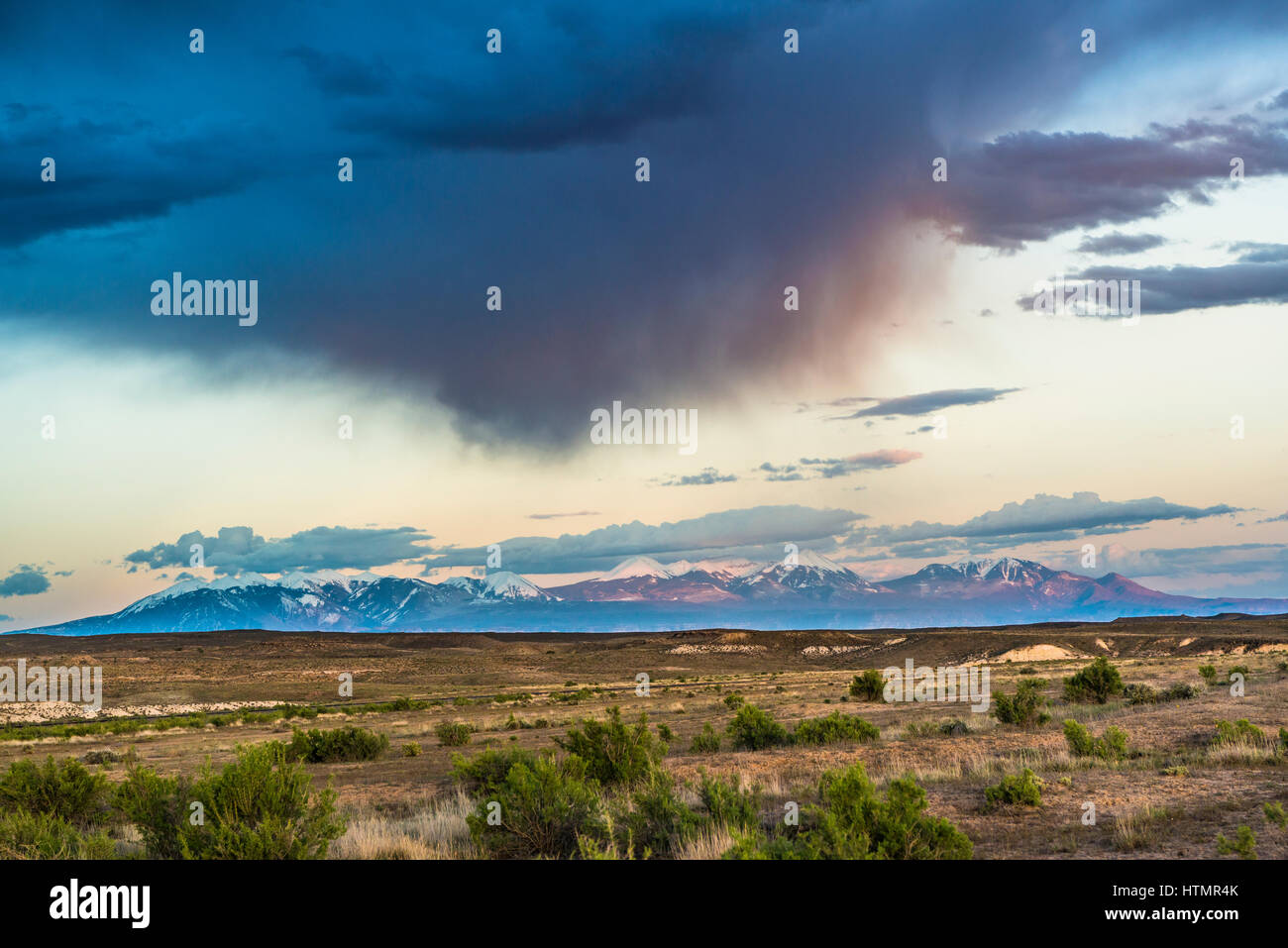 Piove nel deserto, STATI UNITI D'AMERICA Foto Stock