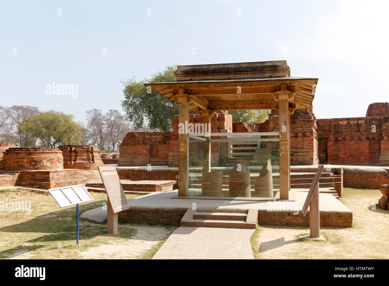 Colonna di Ashoka, Sarnath Temple, India Foto Stock