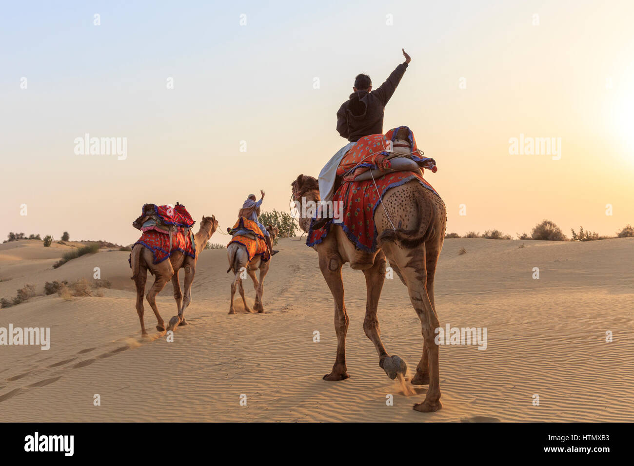 Camel safari nel deserto di Thar, Rajasthan, India Foto Stock