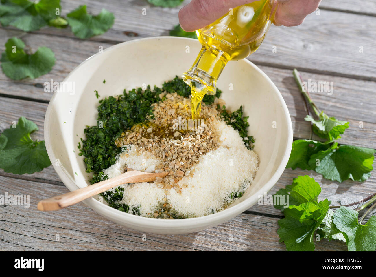 Knoblauchsrauken-Pesto, Frühlings-Pesto, Wildkräuter-Pest, Pesto aus Knoblauchsrauke, Olivenöl, gerösteten Sonnenblumenkernen, geriebenen Parmesankäse Foto Stock