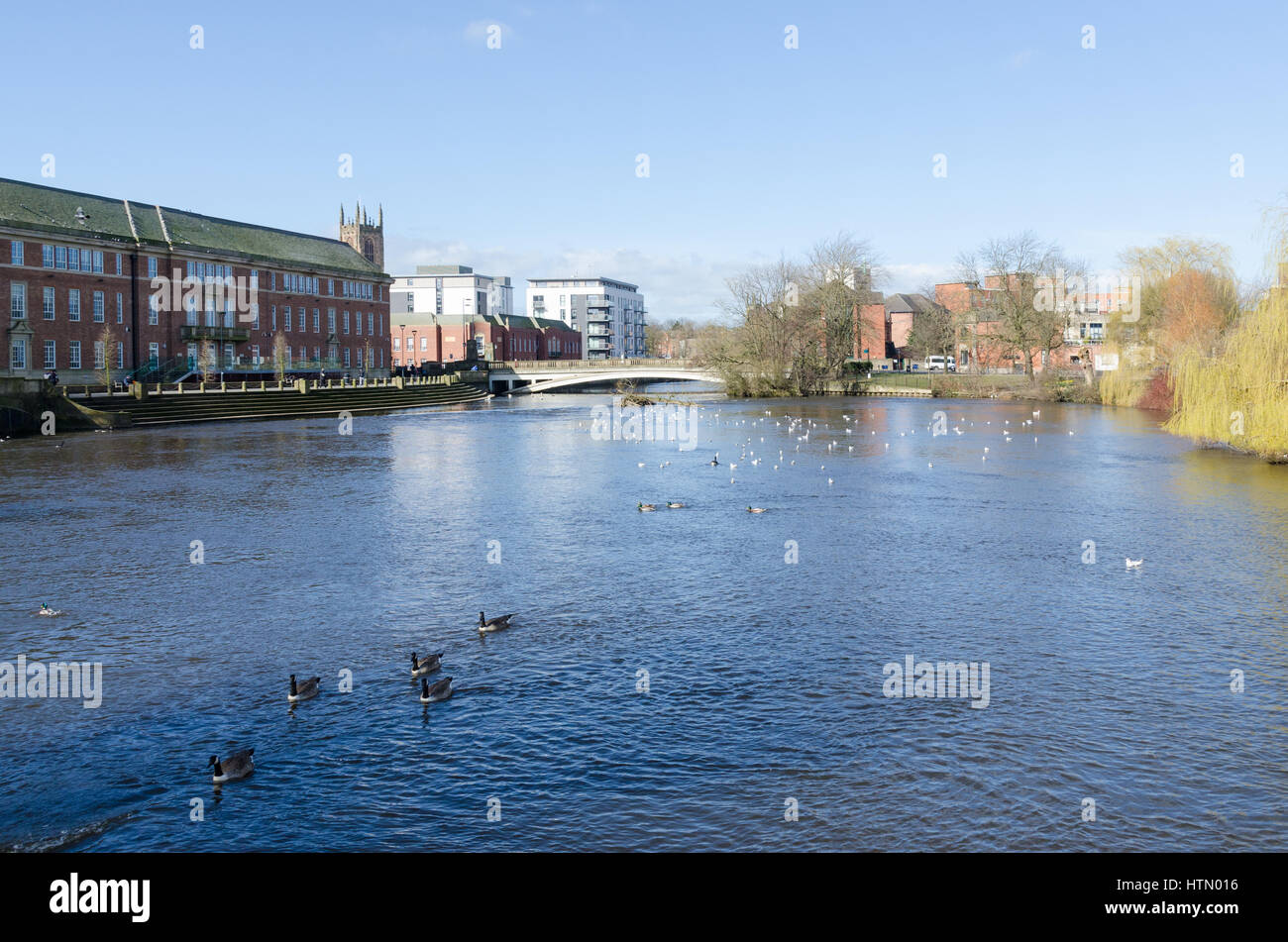 Il fiume Derwent a Derby Riverside Gardens nel centro di Derby Foto Stock