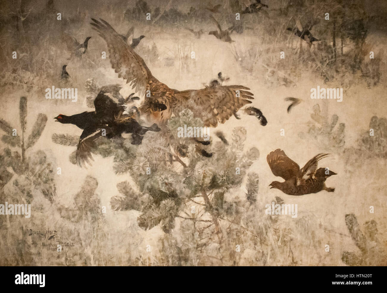 Liljefors - Hawk e Black-Game Foto Stock