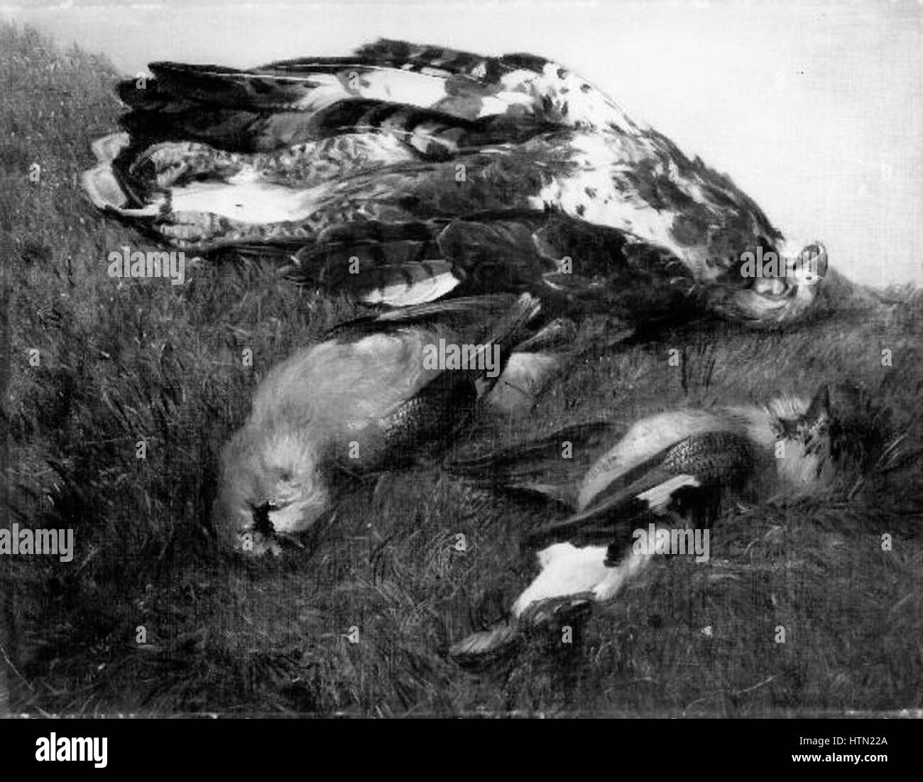 "Studie mrtvych ptaku" ("Studio degli uccelli morti") di Jan Novopacky è un dipinto di natura morta incentrato sulla delicata raffigurazione degli uccelli morti. L'opera evidenzia l'attenzione di Novopacky ai dettagli e la sua esplorazione di soggetti naturali nell'arte ceca durante il XIX secolo. Foto Stock "Studie mrtvych ptaku" ("Studio degli uccelli morti") di Jan Novopacky è un dipinto di natura morta incentrato sulla delicata raffigurazione degli uccelli morti. L'opera evidenzia l'attenzione di Novopacky ai dettagli e la sua esplorazione di soggetti naturali nell'arte ceca durante il XIX secolo. Foto Stock